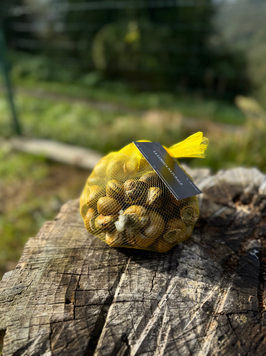 Lumache Da Gastronomia